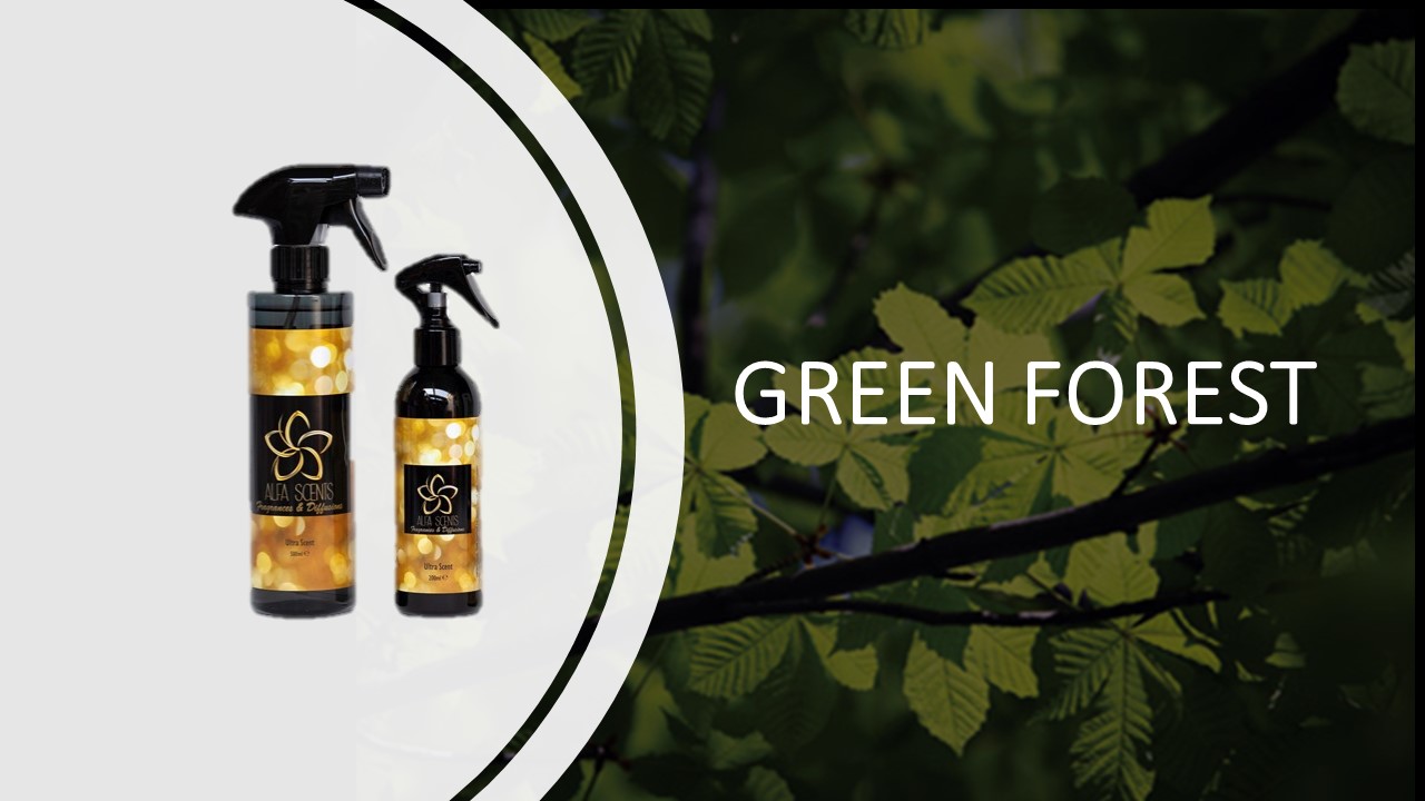 Spray d'ambiance Green Forest